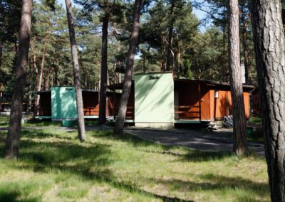 Rząd domków letniskowych wśród sosen — ośrodek Terimex