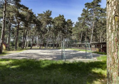 Teren zielony ośrodka Terimex otoczony lasem sosnowym