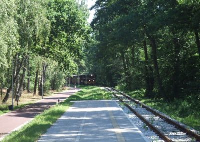 Widok na teren ośrodka z alejkami i sosnami